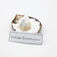 Bicarbonate de sodium oral de qualité alimentaire pour le nettoyage