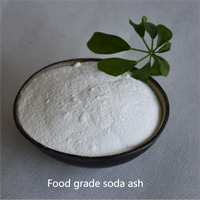 Carbonate de sodium blanc hygroscopique pour pharmaceutique