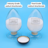 Bicarbonate de sodium naturel de qualité alimentaire dans les aliments
